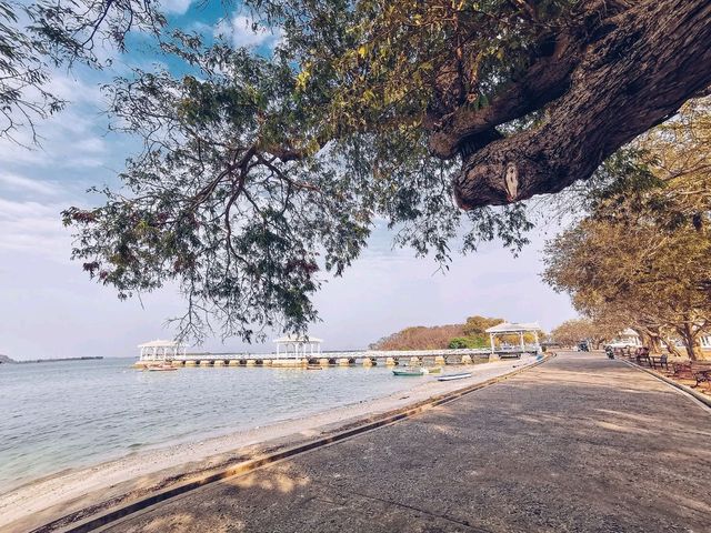 🏝️ เที่ยวเกาะสีชัง ชลบุรี แบบวันเดียวก็เที่ยวได้!