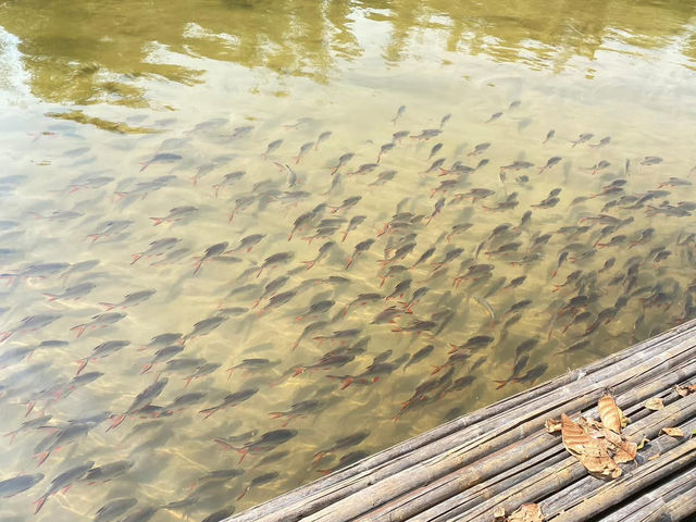 Chong khaep aingkwai resort