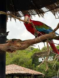 長崎Bio park- 教育與感動兼具的動物園
