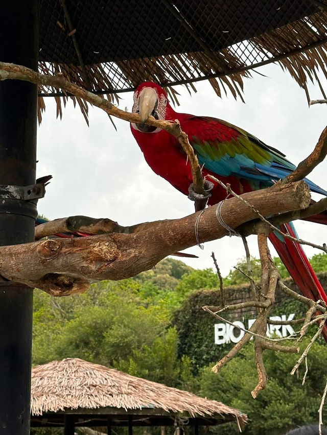 長崎Bio park- 教育與感動兼具的動物園