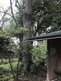 【東京　浅草寺と伝法院庭園、にぎわう寺町を歩く】