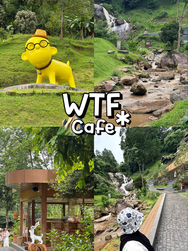 คาเฟ่เชียงใหม่ที่ไม่ควรพลาดต้องที่นี่ WTF Cafe ⛰️