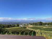 🍇長野・千曲川ワインバレー｜信州の恵みを感じるワインの里