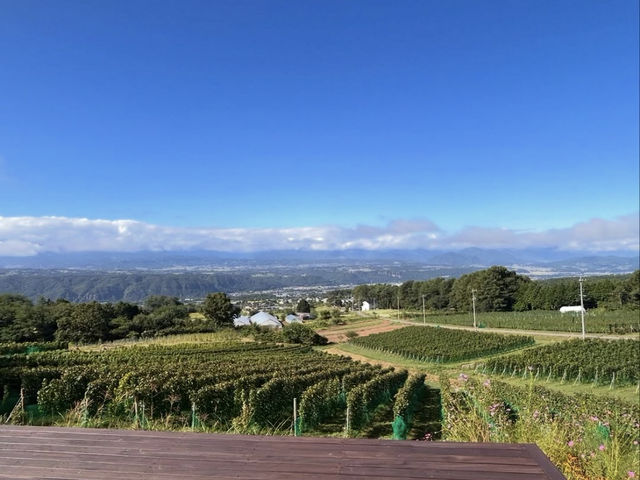 🍇長野・千曲川ワインバレー｜信州の恵みを感じるワインの里