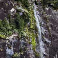 Magical Journey to Milford Sound: A Scenic Adventure You’ll Never Forget