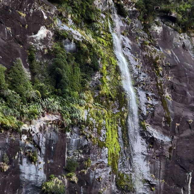 Magical Journey to Milford Sound: A Scenic Adventure You’ll Never Forget