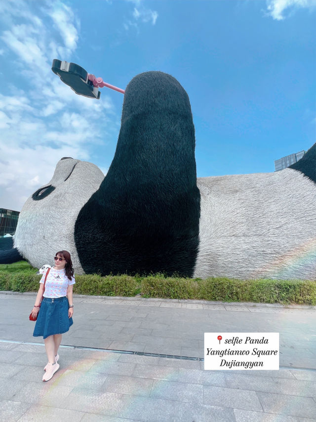 𝐏𝐚𝐧𝐝𝐚 𝐢𝐧 𝐭𝐡𝐞 𝐂𝐢𝐭𝐲🐼❤️