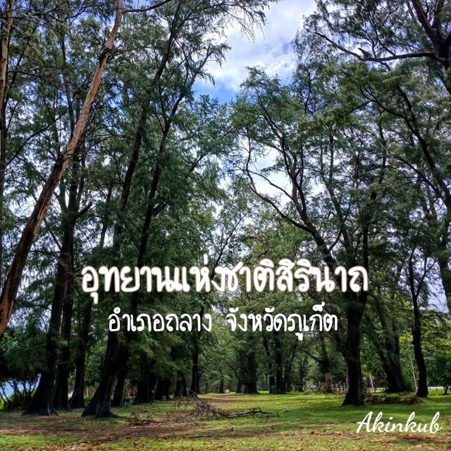 ป่าสนทะเล อุทยานแห่งชาติสิรินาถ