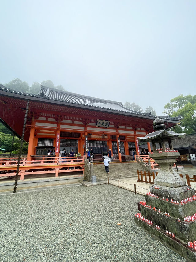 📍 Katsuo-ji – วัดดารุมะแห่งชัยชนะในโอซาก้า⛩️