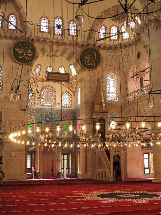 【魅惑の街】イスタンブールを歩く🕌