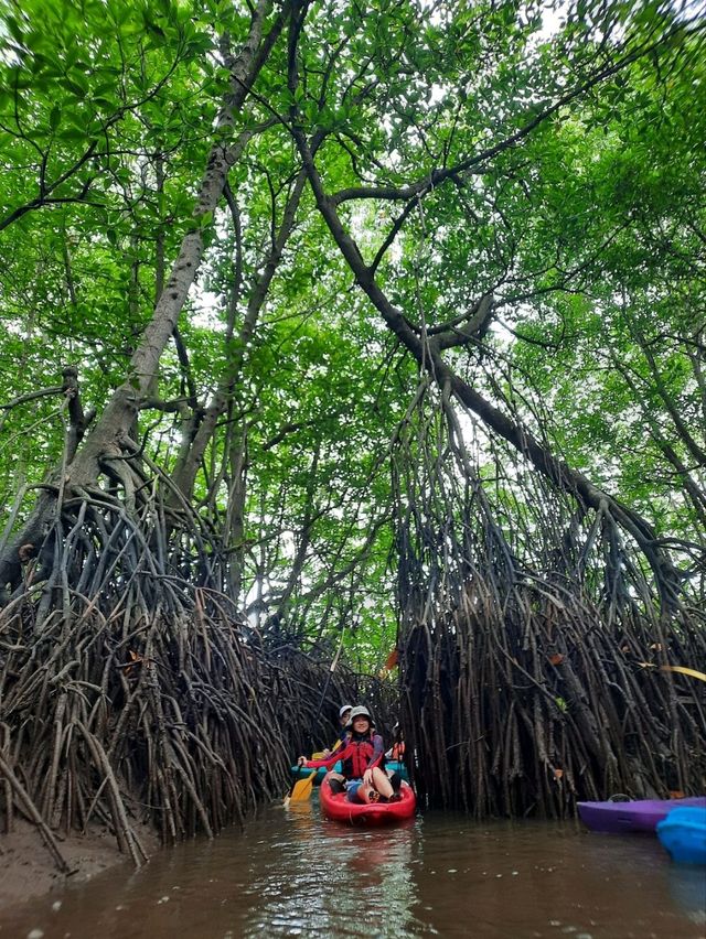 Mangrove Magic: Kayaking the Sepang River 🌿
