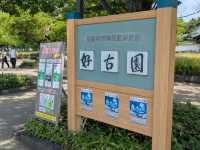 姬路 | 好古園 姬路城西御屋敷跡庭園