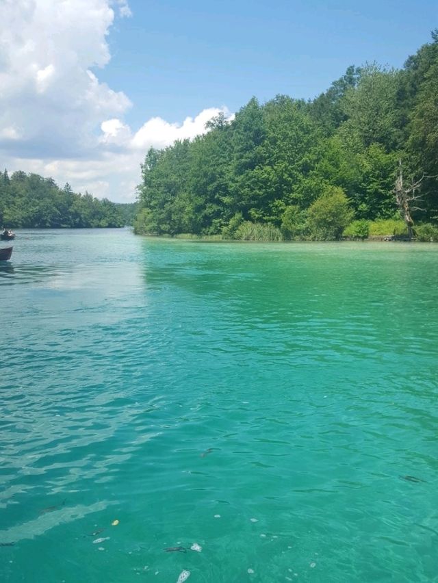 【クロアチア】プリトヴィッツェ湖群国立公園