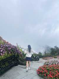 Mercure Danang French Village Bana Hills