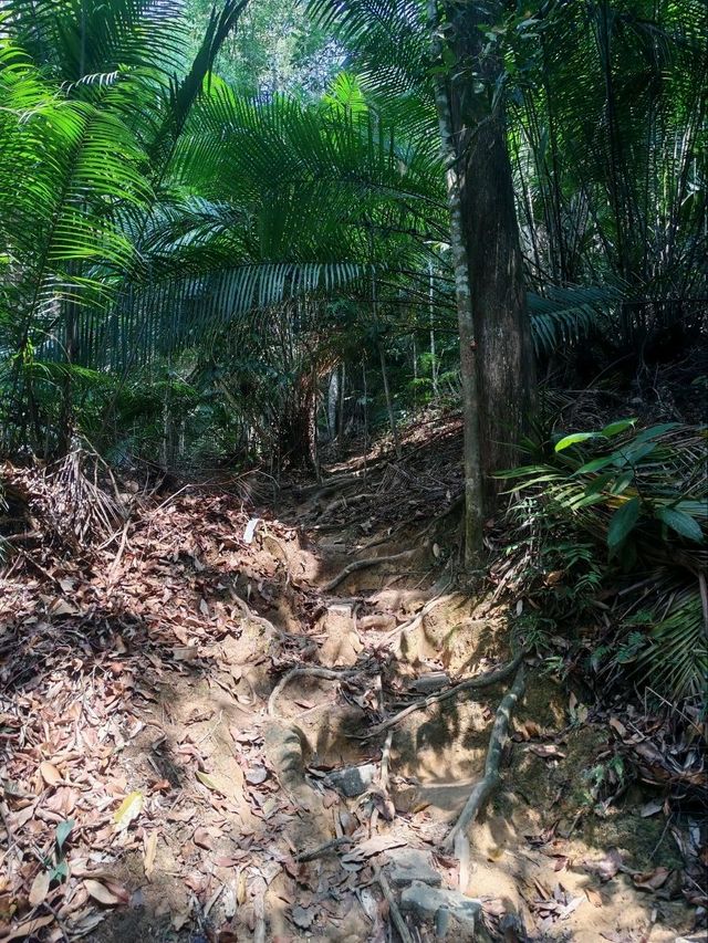 ⛰️ Conquer Nature at Kledang Hill Trail Head, Ipoh! 🌿