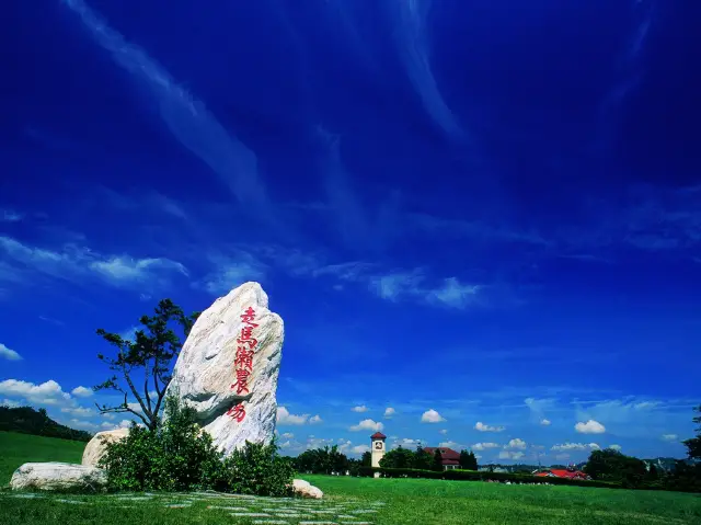 Complete Guide to Zoumalai Farm: Feed Sheep, Camp, and Grass Skiing All in One