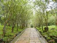 嶺頂公園｜台南最療癒的觀景祕境，在山林裡看見整片平原