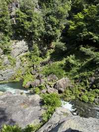 夏にぴったり🌊「鳩ノ巣渓谷」で川遊びを満喫しよう✨