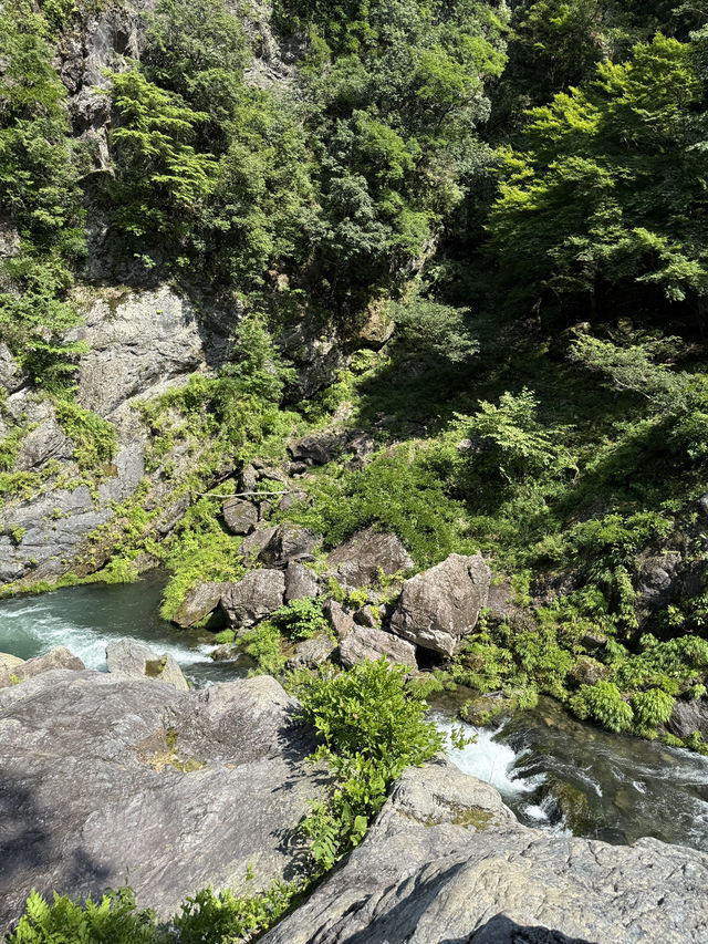 夏にぴったり🌊「鳩ノ巣渓谷」で川遊びを満喫しよう✨