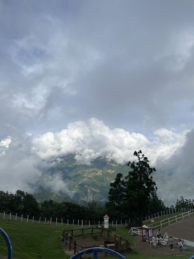 Hehuanshan – ถนนคดเคี้ยว… วิวสวรรค์ภูเขาไต้หวัน