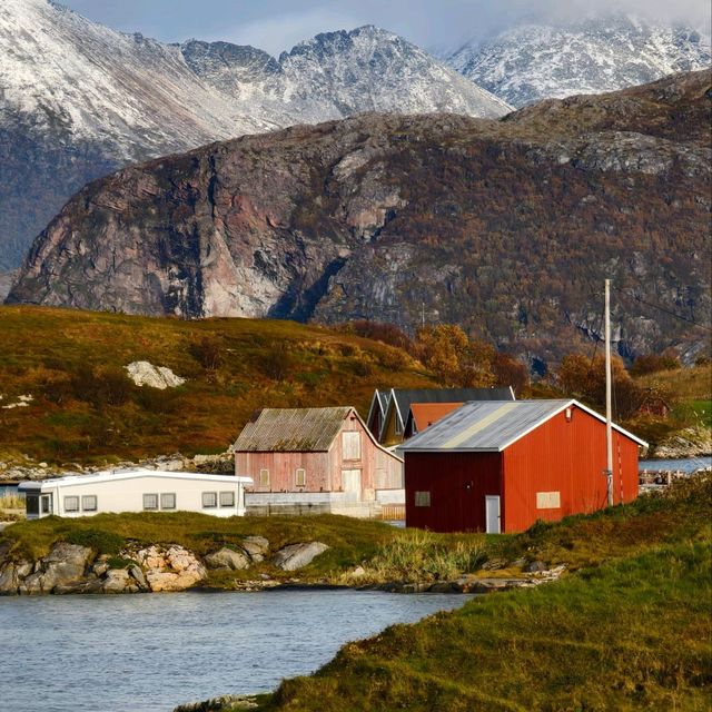 Daytime Delight: A Sommarøy Sojourn