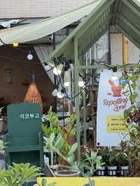 💐 앨리웨이 광교 꽃집 이코투고 