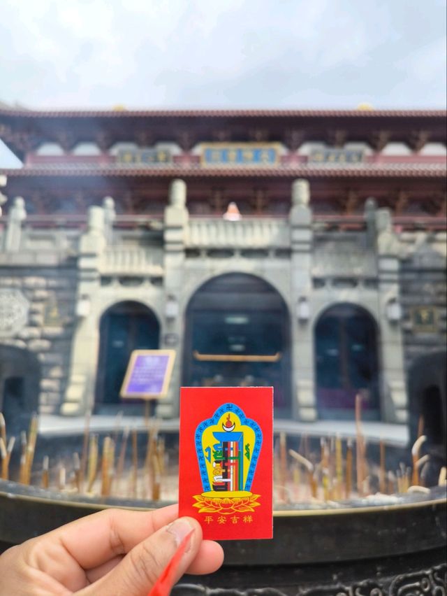 เที่ยวสวนพฤกษศาสตร์ที่ Nanning 
