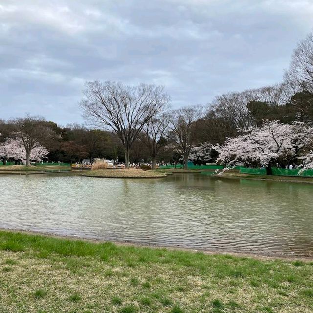 Yoyogi Park