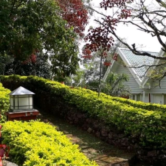 🌄 Munnar, Kerala – The Crown Jewel of the Western Ghats 💚