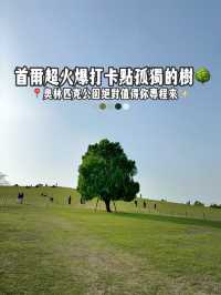 韓妞都愛來這拍「孤獨的樹」🌳 首爾奧林匹克公園全攻略✨