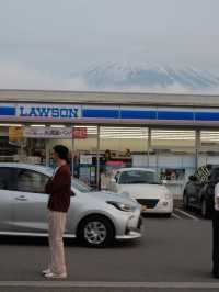 A Glimpse of Fuji, A Flood of Emotion