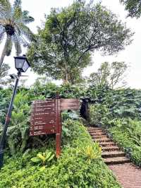 อุโมงค์ Fort Canning Tree Tunnel สิงคโปร์
