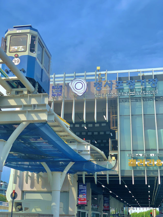 여름 하루 여행일정으로 청사포 강력추천🚃