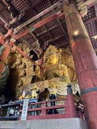 Serenity and History at Todaiji Temple 