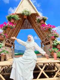 ไร่คุณอารียา (Ariya Flower Farm)