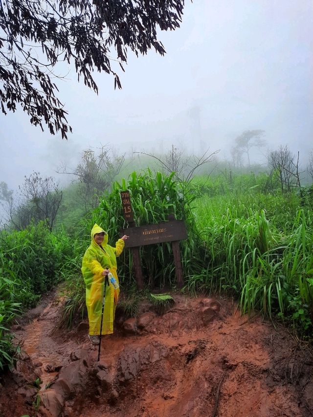 เดินป่าปลายฝนต้องภูสอยดาวววว : (สอยเธอไม่ได้ ไปสอยดาวล่ะกัน 😆)