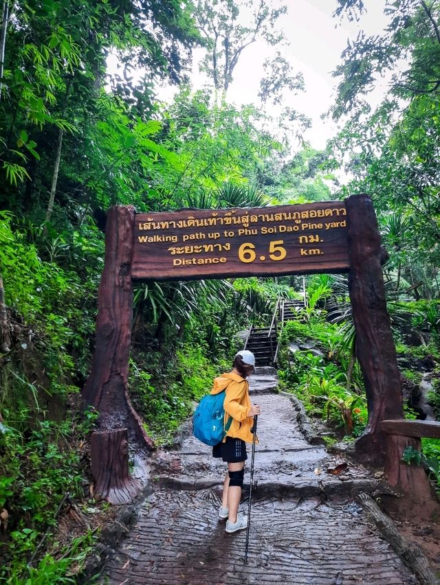 เดินป่าปลายฝนต้องภูสอยดาวววว : (สอยเธอไม่ได้ ไปสอยดาวล่ะกัน 😆)