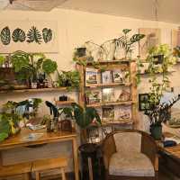 🌿✨ Nengfoto Cafe & Tree | คาเฟ่ลับกลางสวนในท่าบ่อ