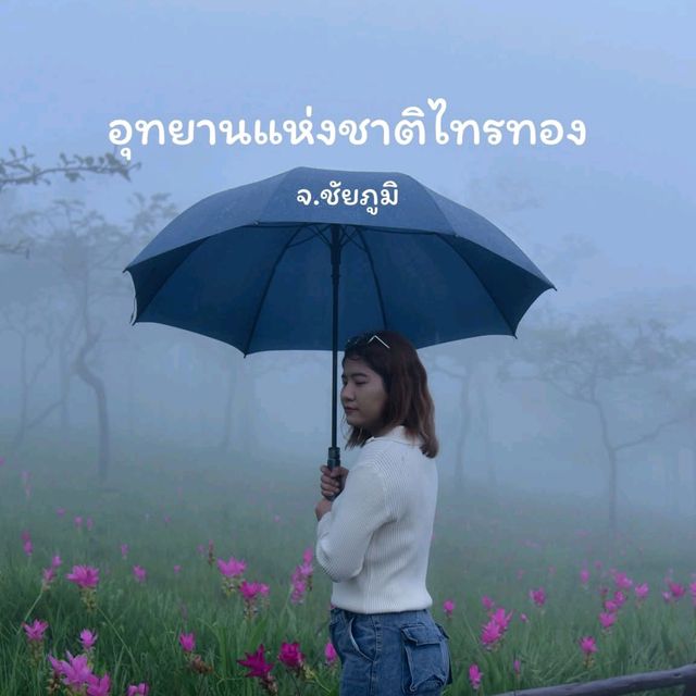 อุทยานแห่งชาติไทรทอง จ.ชัยภูมิ​