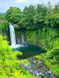 Whispers of Water: Shiraito Falls in Fujinomiya