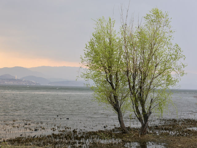 One fine day at Erhai lake in Dali!