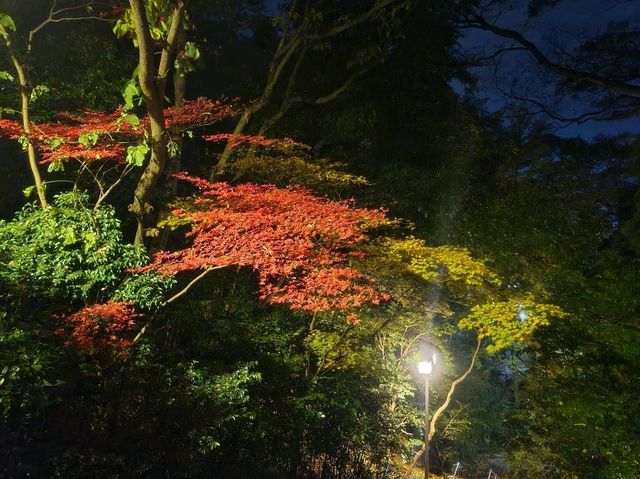 노토반도 1박2일~!