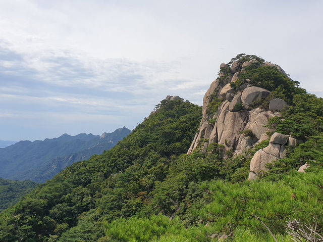 도봉산에 오르다