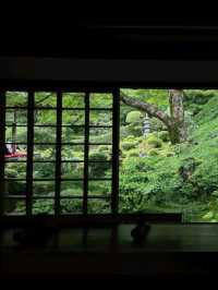 京都必去景點（八） 三千院🌳禪意之美