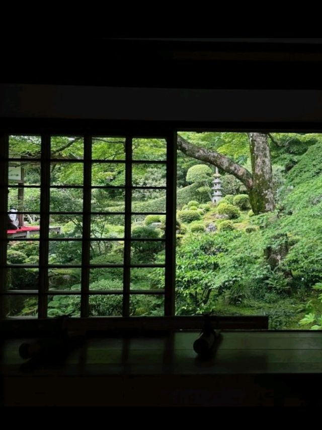 京都必去景點（八） 三千院🌳禪意之美
