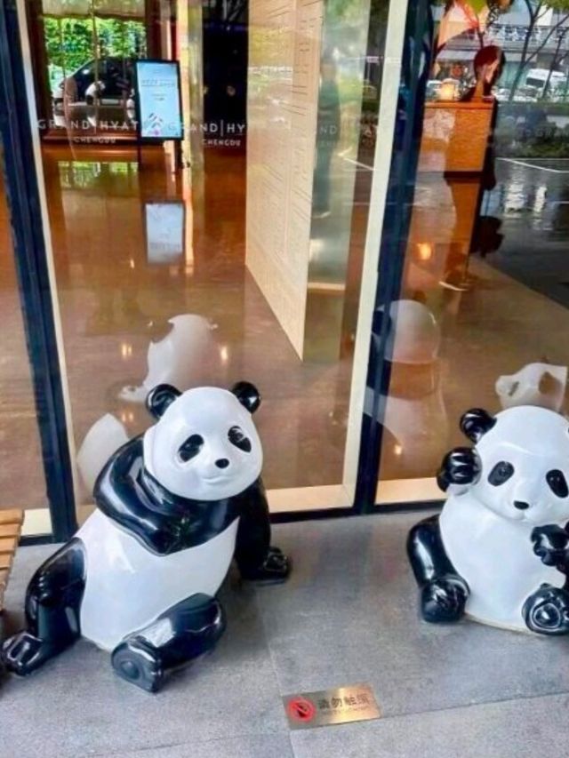 🐼🇭🇰成都群光君悅，果然是舒適的選擇