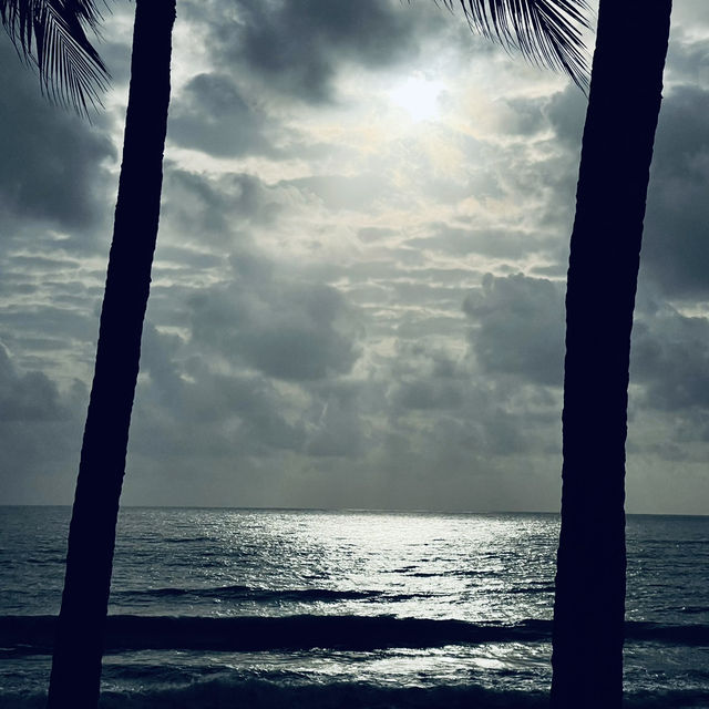 🌴 Escape to Paradise at Hyatt Regency Kuantan 🌊✨