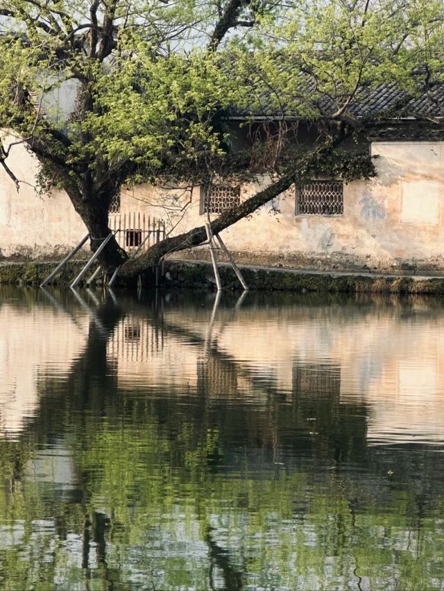 Where the Mountains Whisper: Secrets of Hongcun