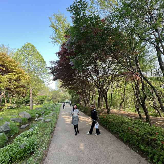 🇰🇷 How to spend 28 days in Seoul