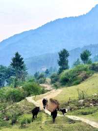Himalayan Hideouts, 5 Secret Valleys in Tibet That Totally Slap